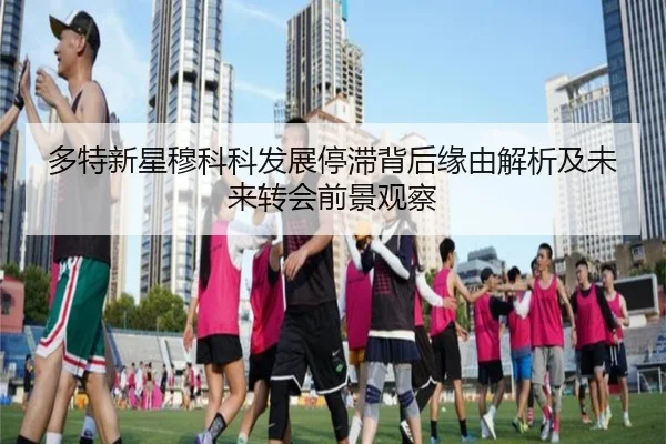 多特新星穆科科发展停滞背后缘由解析及未来转会前景观察