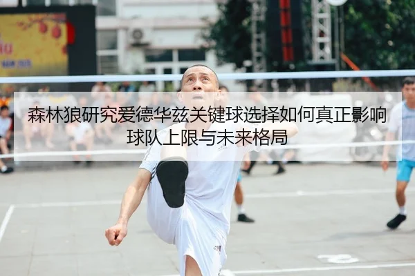 森林狼研究爱德华兹关键球选择如何真正影响球队上限与未来格局